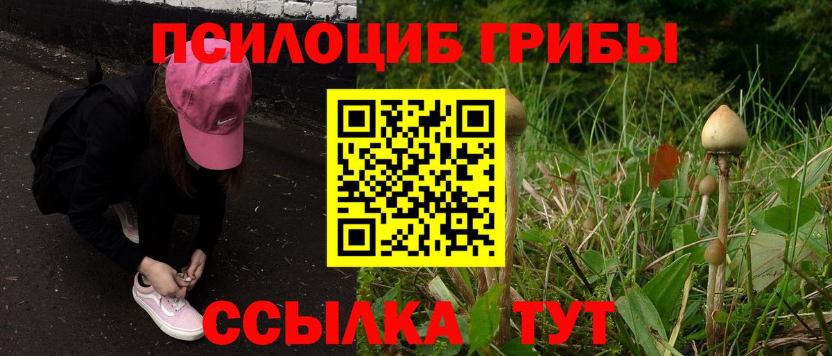 Псилоцибиновые грибы Psilocybine cubensis  Вход с VPN  Видное 